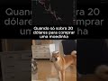 comprando shiba com meus 20 dol que sobraram #criptomemes #shibainu #shiba #dogecoin