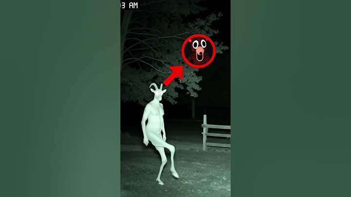 99 noches en el bosque en la vida real XDDD #99nochesenelbosque