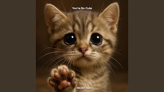 Download Lagu The strong one is not noisy Download Lagu The strong one is not noisy