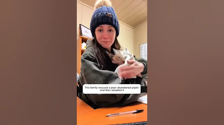 This family rescued a poor abandoned piglet and then adopted it #shorts