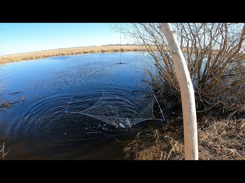 Видео: рыбалка на паук подъёмник рыба прёт