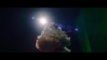 伝説的アーティスト、ビョーク史上最も壮大なライブ体験が映画に！『ビョーク：コーニュコピア』予告編