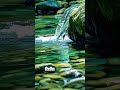 Nature Healing Indah Sound #asmr #asmrindonesia #relax #trending #video #waterfall