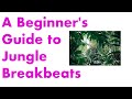 Guide du dbutant sur les breakbeats de la jungle