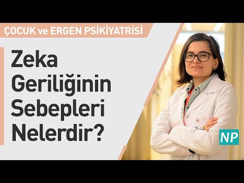 Video: Psikomotor gerilik yox olurmu?