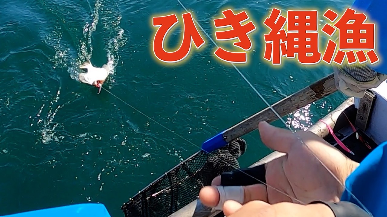 一日中ひき縄漁をしてみた！良型ヒラメが連発した[何気ない漁の様子][Vlog]