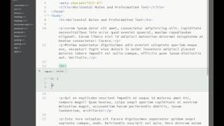 11  Horizontal Rules and Pre-formatted Text  | HTML Course