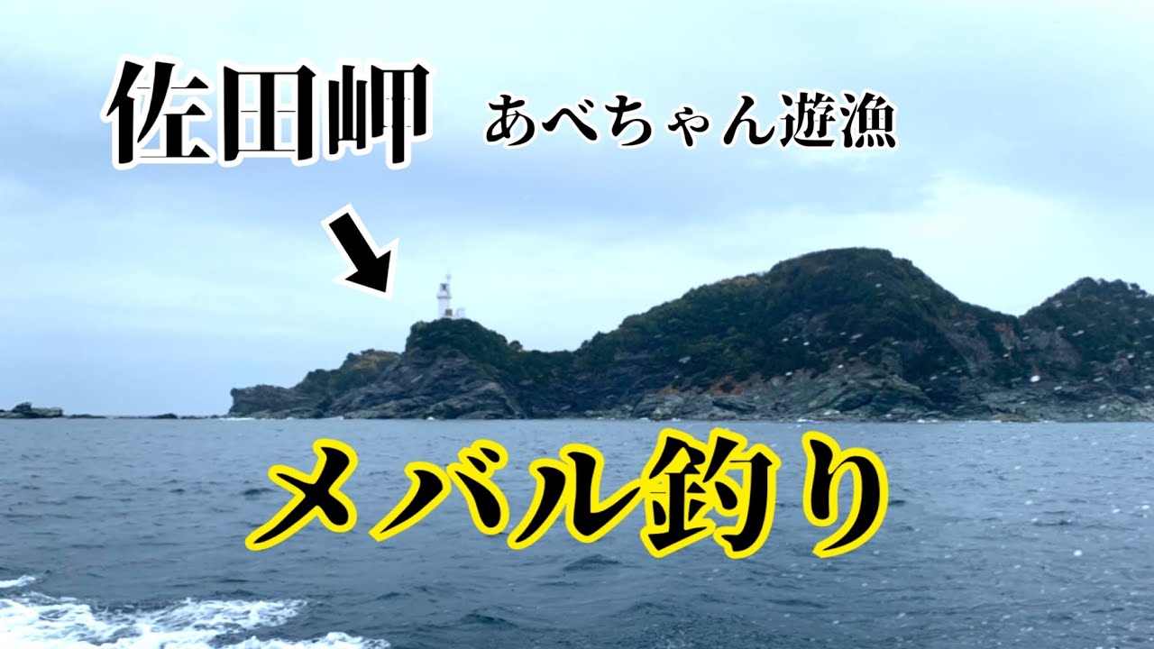 鳴門船サビキでメバル釣り Youtube