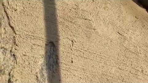lime render video