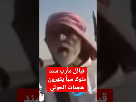 قبائل مأرب ملوك سبأ يقهرون مليشيا الحوثي 