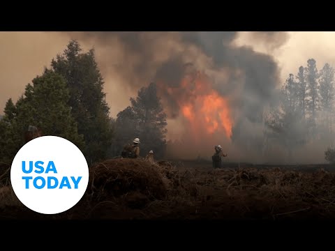 New Mexico wildfire burns area the size of Los Angeles | USA TODAY