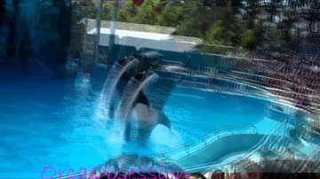 Rolling in the deep || MEP part 3 ||