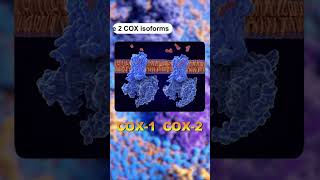 How NSAIDs Work | Simple Explanation for Medical Students How NSAIDs Work | Simple Explanation for Medical Students