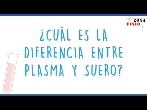 FISIOLOGÍA: ¿CUÁL ES LA DIFERENCIA ENTRE PLASMA Y SUERO?