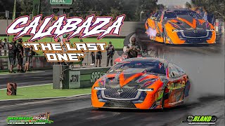 マントヒヒ 13B Powered Pro Import - Calabaza 