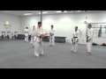 Part 3: Shiko dachi (sumo stance) Applications