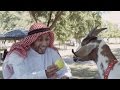 Mans best friend  anwar jibawi  jeff wittek