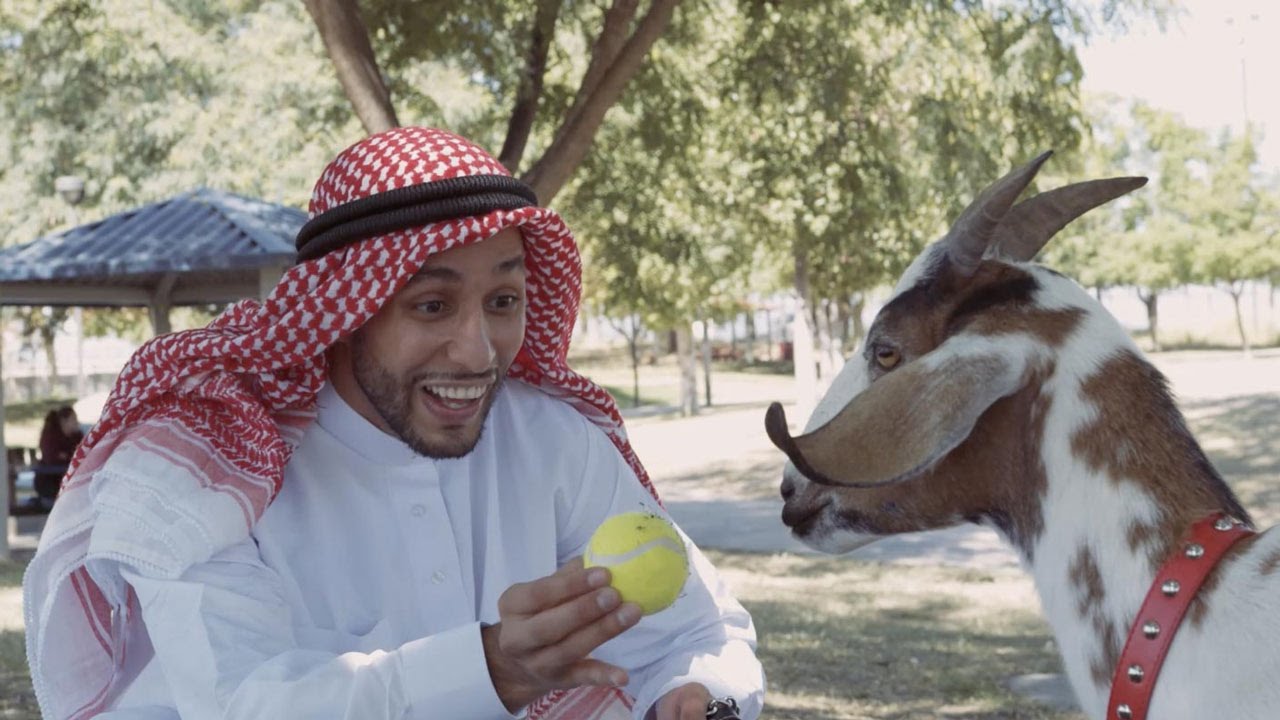Man’s Best Friend | Anwar Jibawi & Jeff Wittek