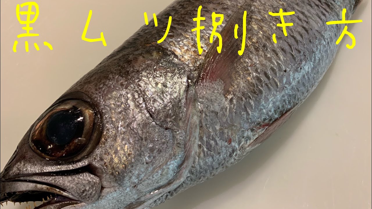 黒ムツ捌き方の解説 蕎麦もり木 日々の仕事風景 Youtube