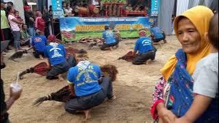 Keganasan ACR ANUSOPATI CANDI REJO BAPAK WARSONO AJI. THE LEGEND. By @soboparan_crew1158