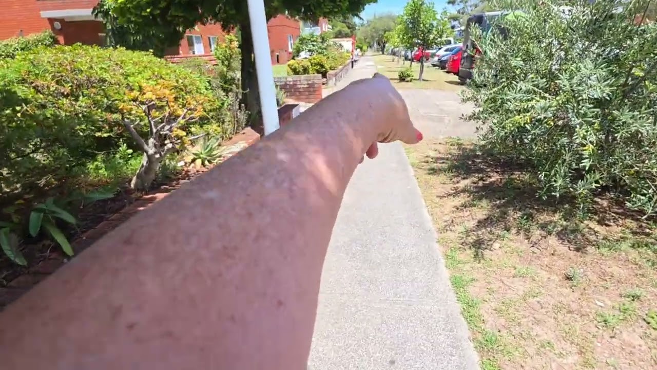 Лето подкралось незаметно . Жизнь в Австралии ,Элла Австралия