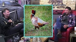 Theo Von on Why Eating Pheasant is the Dark Arts | TFATK Classics