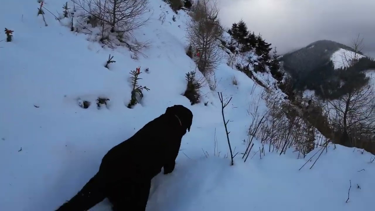 DJI Osmo Action 3, Walking video, 2,7K