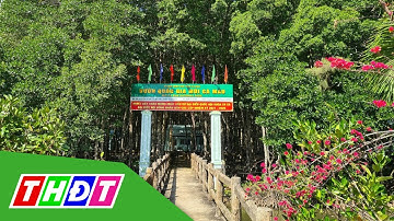 Khởi tố, bắt tạm giam nguyên Giám đốc Vườn quốc gia Mũi Cà Mau | THDT