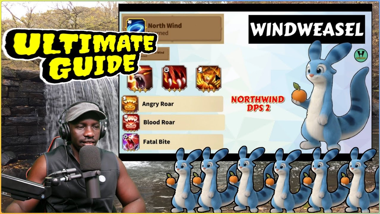 Зов драконов - Руководство по WINDWEASEL | Лучший билд для увеличения урона