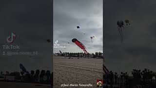 Festival Internacional de cometas. Playa de la Malvarrosa. Valencia