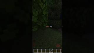 Mystical portal # #games #minecraftbuilding