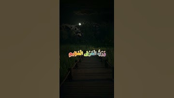 أكتب شيء تؤجر عليه ❤😴  /  القارئ ياسر الدوسري