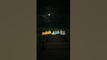 أكتب شيء تؤجر عليه ❤😴  /  القارئ ياسر الدوسري