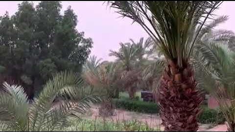 فَانظُرْ إِلَىٰ آثَارِ رَحْمَتِ اللَّهِ | سورة الروم | القارئ أحمد النفيس