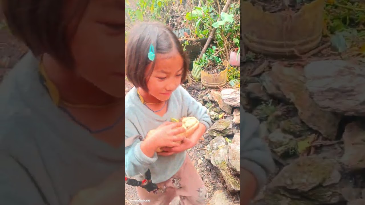 Aju ko Lunch 😋 Kachu Tarul || Lunch time, Organic lunch 😋 || SonamGurungG 