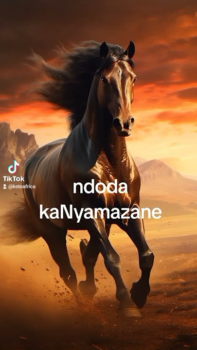 Ngubane clan names - izithakazelo