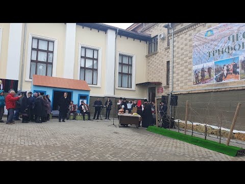 Видео: В Тараклии празднуют Трифон Зарезан
