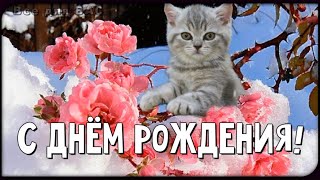 С Днем Рождения! Пусть Сбываются Мечты!