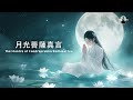 如月之光 遍照眾生|月光菩薩真言The mantra of Candra Prabha Bodhisattva
