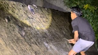 Falling fish at the water dam #fish #fishing