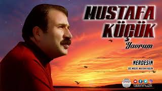 Mustafa  Küçük  / Nerdesin Resimi