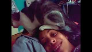 Cat Humps Cute Girl's Head Casually Cat Humps Cute Girl's Head Casually