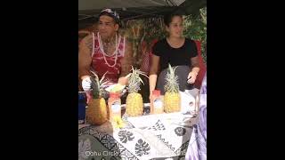 Hawaii Oahu Circle Island Tour