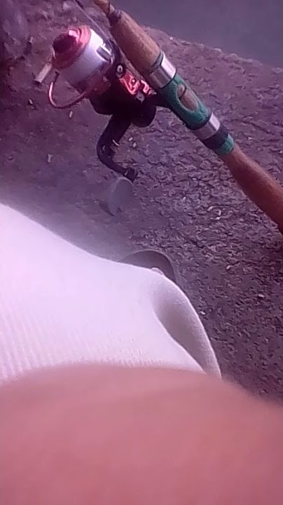 Vilem semi indonesia