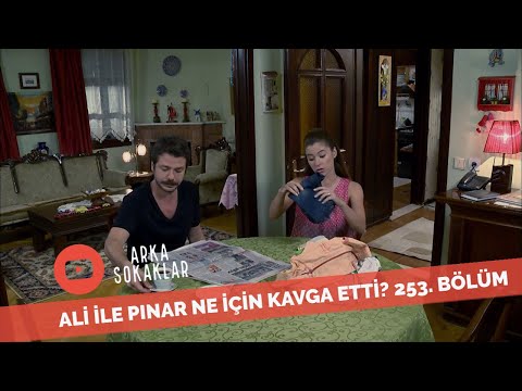 Ali İle Pınar Ne İçin Kavga Etti? 253. Bölüm