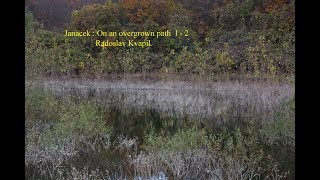 Janacek : On an overgrown path I - 2