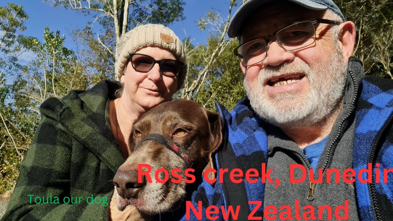 Hidden Gem. Ross Creek, Dunedin, New Zealand