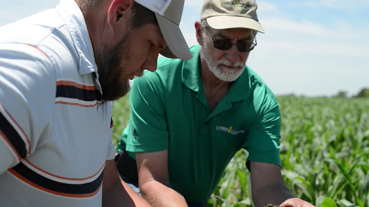 Soil Health Field Day - Zylstra Farm/Lynnville, IA