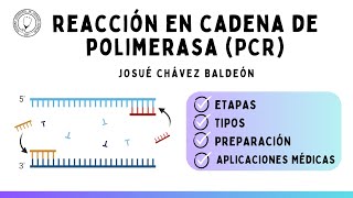 REACCIÓN EN CADENA DE POLIMERASA (PCR): Etapas, Tipos, Preparación y Aplicaciones | Bioquímica