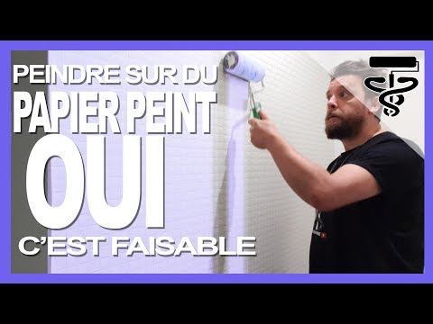 Vidéo: Comment Peindre Du Papier